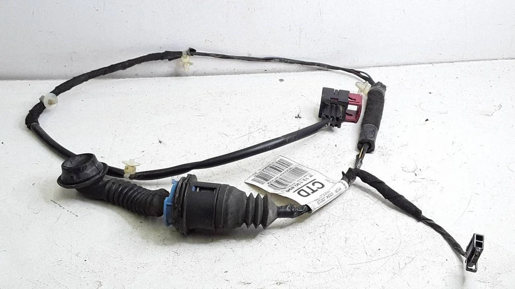 Rear door wiring loom 13130896