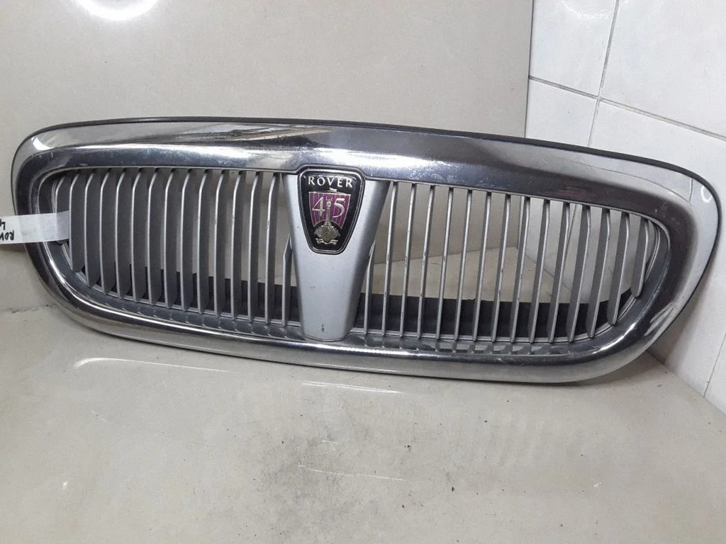 Front grill DQY100420