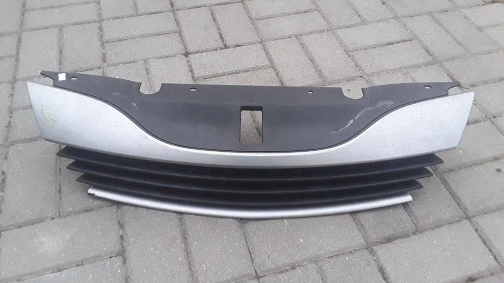 Front grill 8200012581