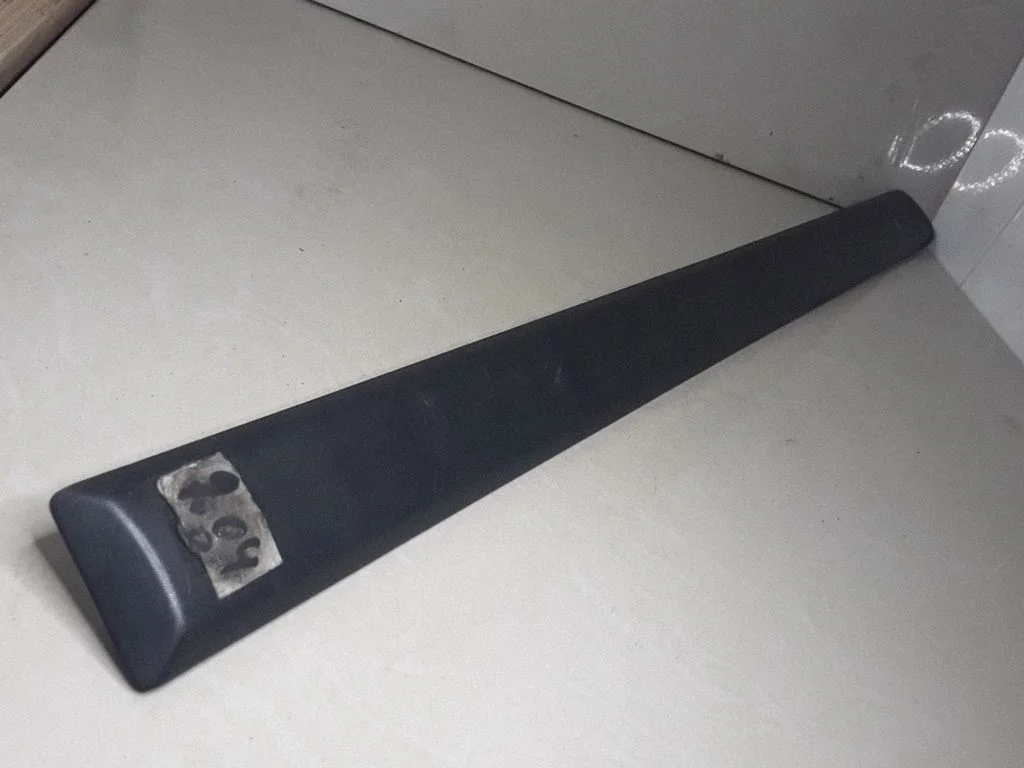 Tagaukse liist (mold)