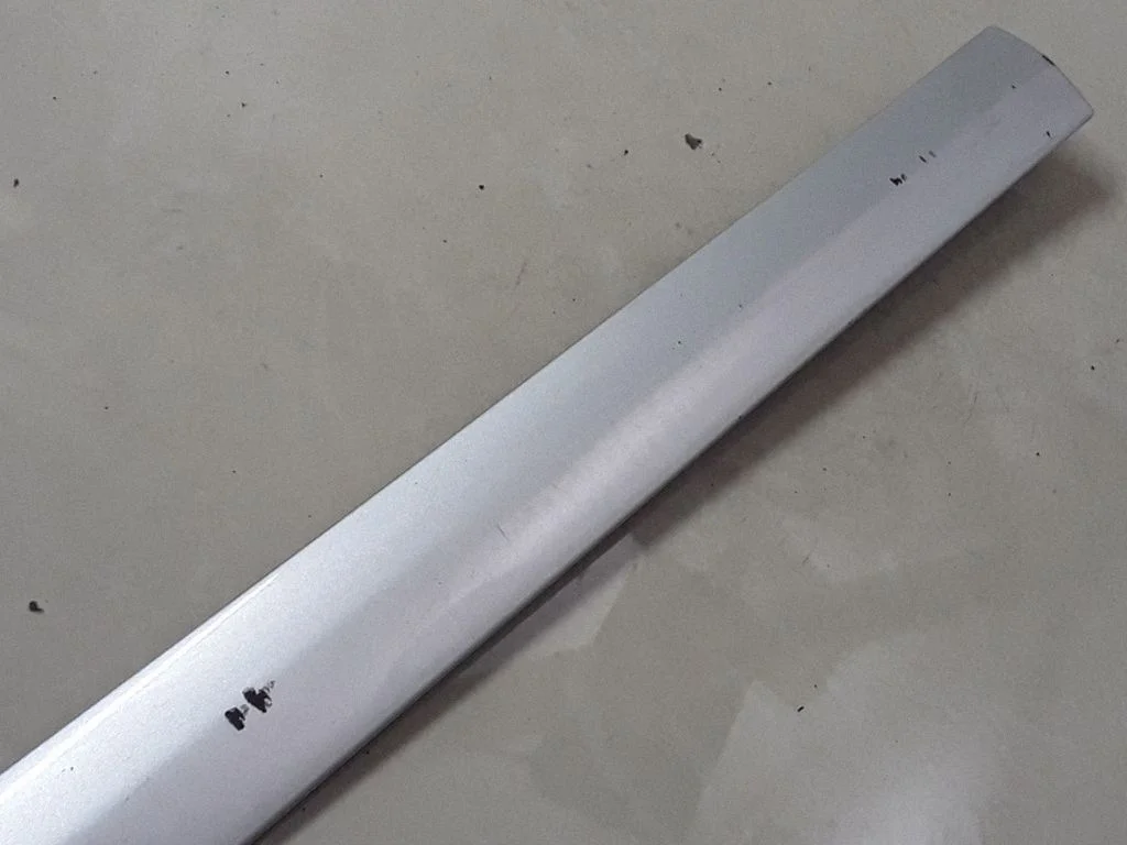 Front door trim (molding) 13101648