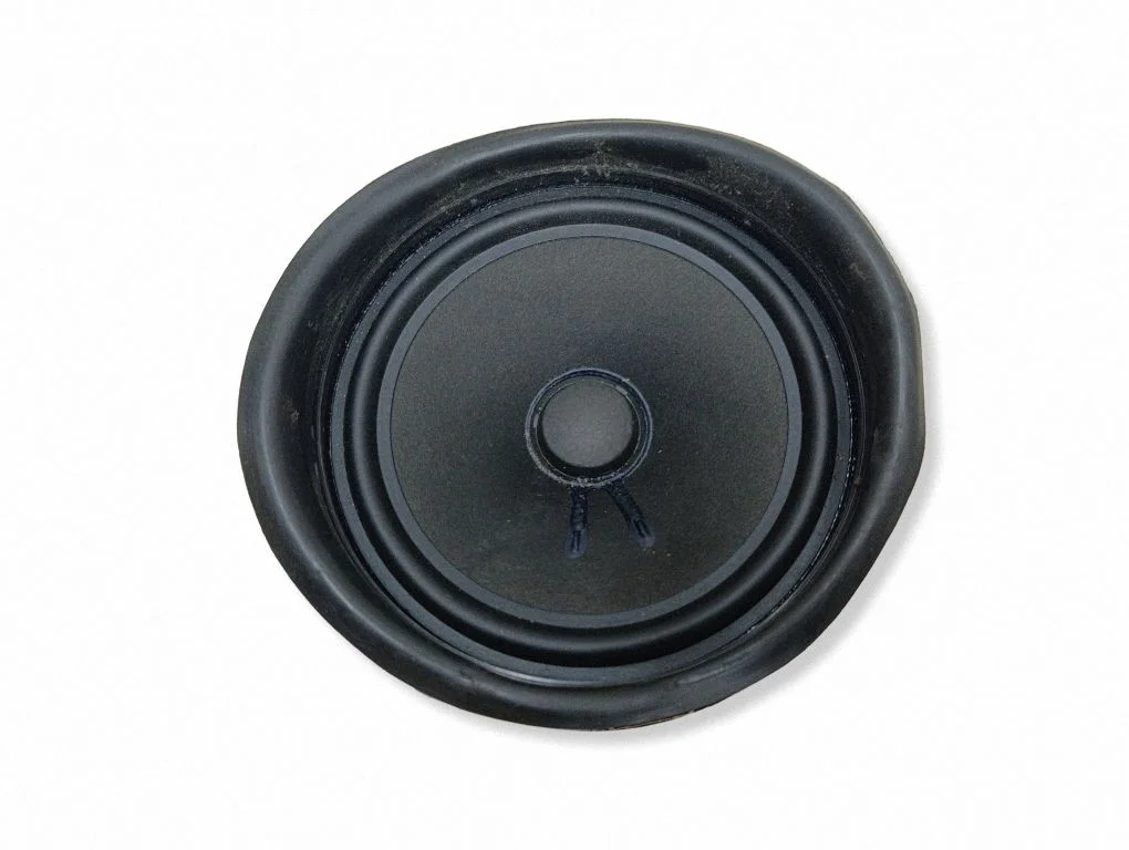 Front door speaker
