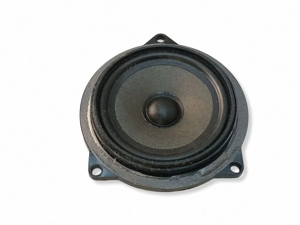 Front door speaker 18820010