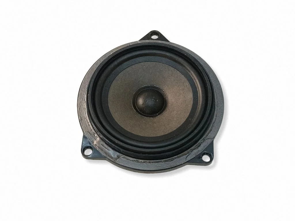 Front door speaker 18820010
