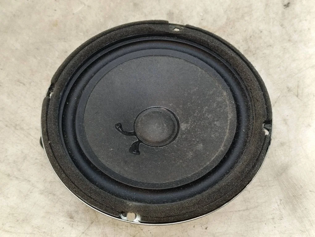 Rear door speaker 963002B100