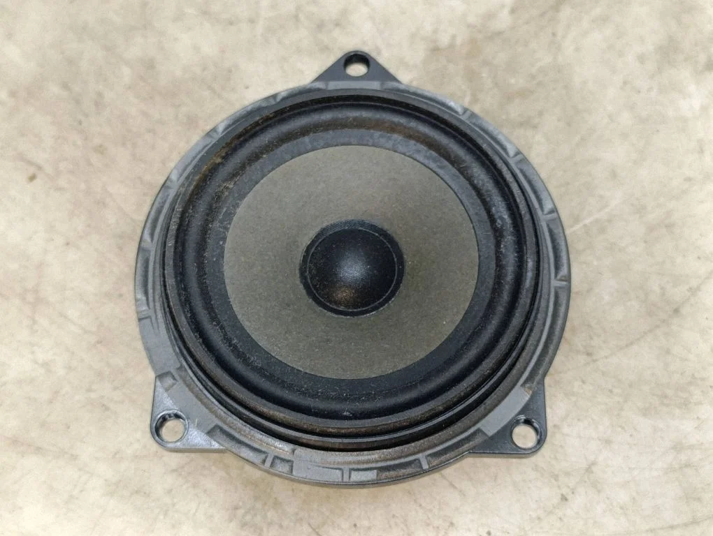 Rear door speaker 6923976