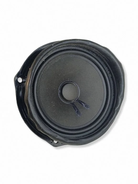 Rear door speaker