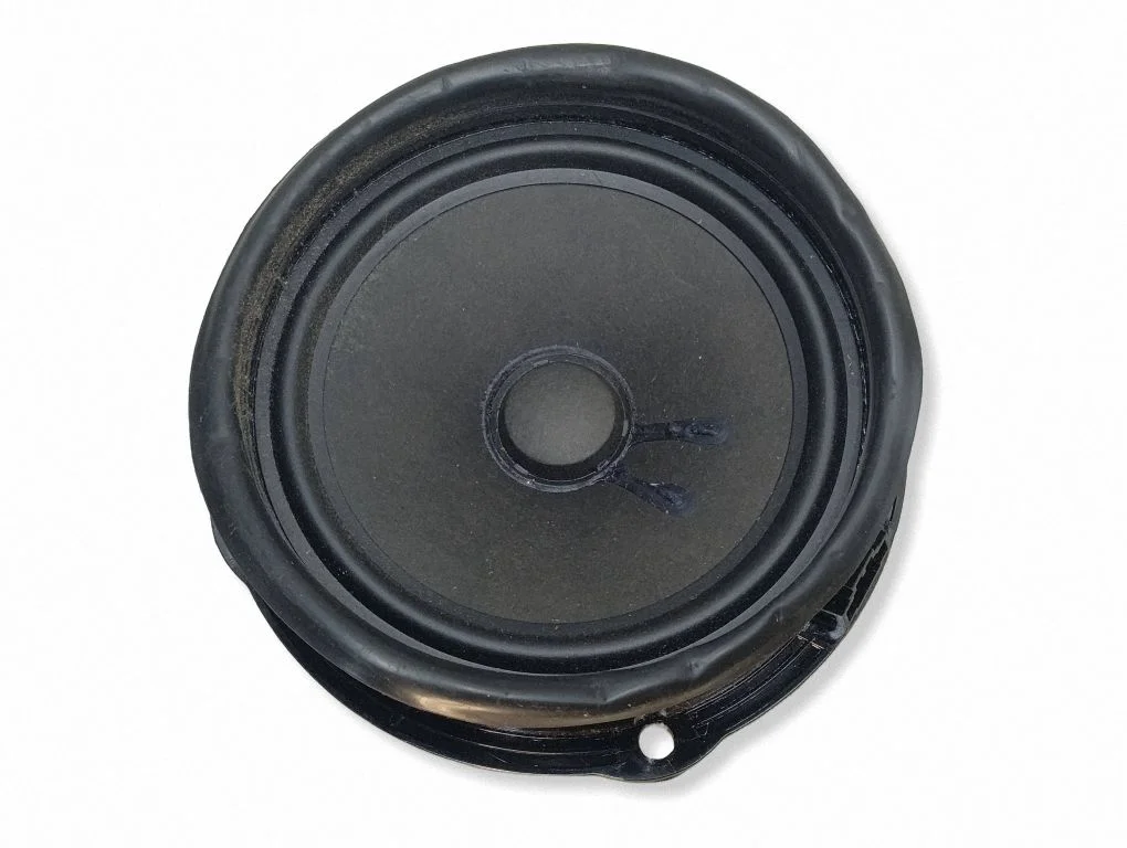 Rear door speaker