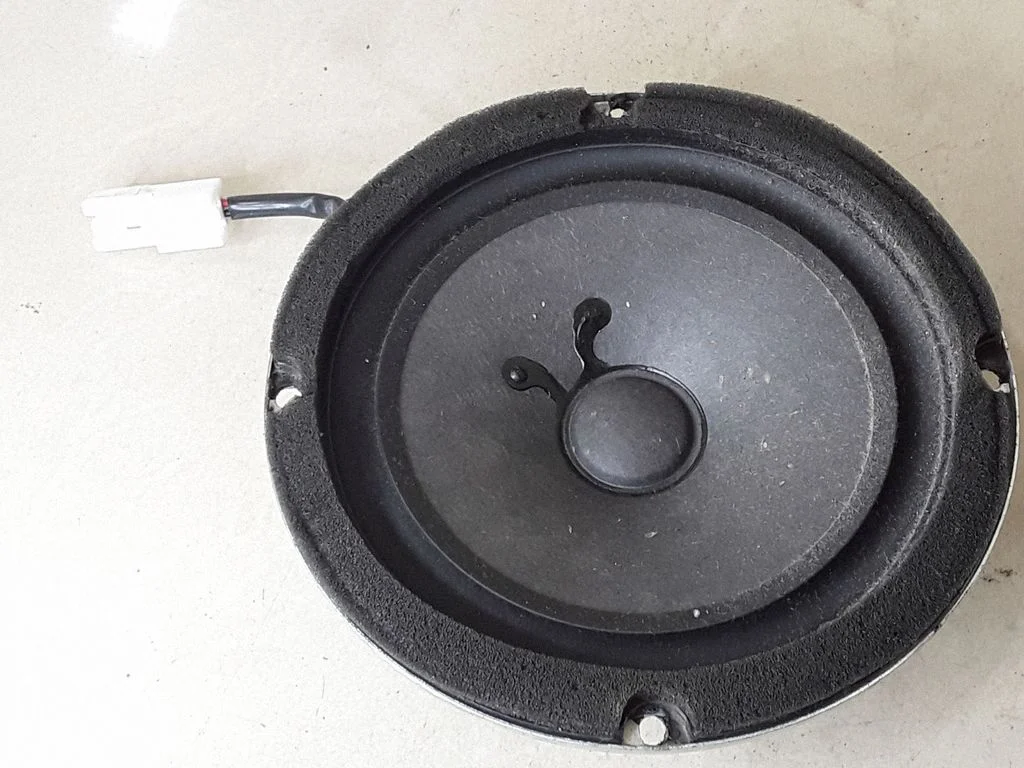 Rear door speaker 963002B000