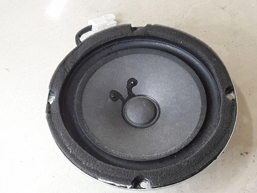 Rear door speaker 963002B100