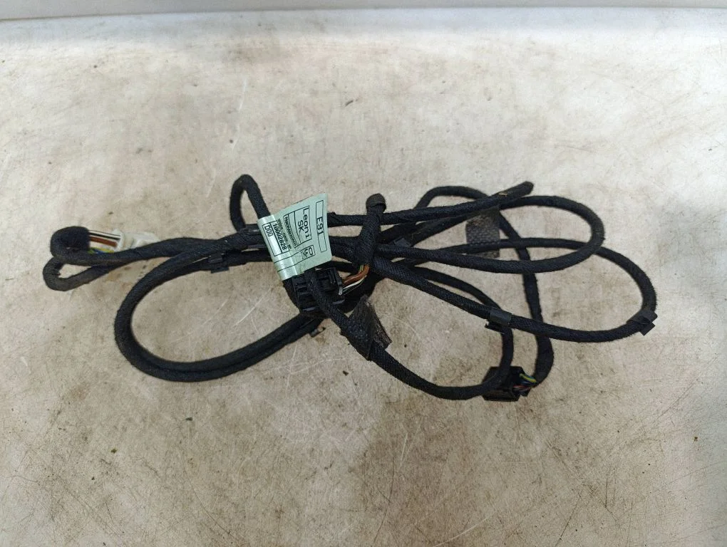 Other wiring loom 10002828