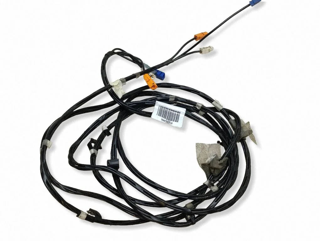 Other wiring loom 9800500980