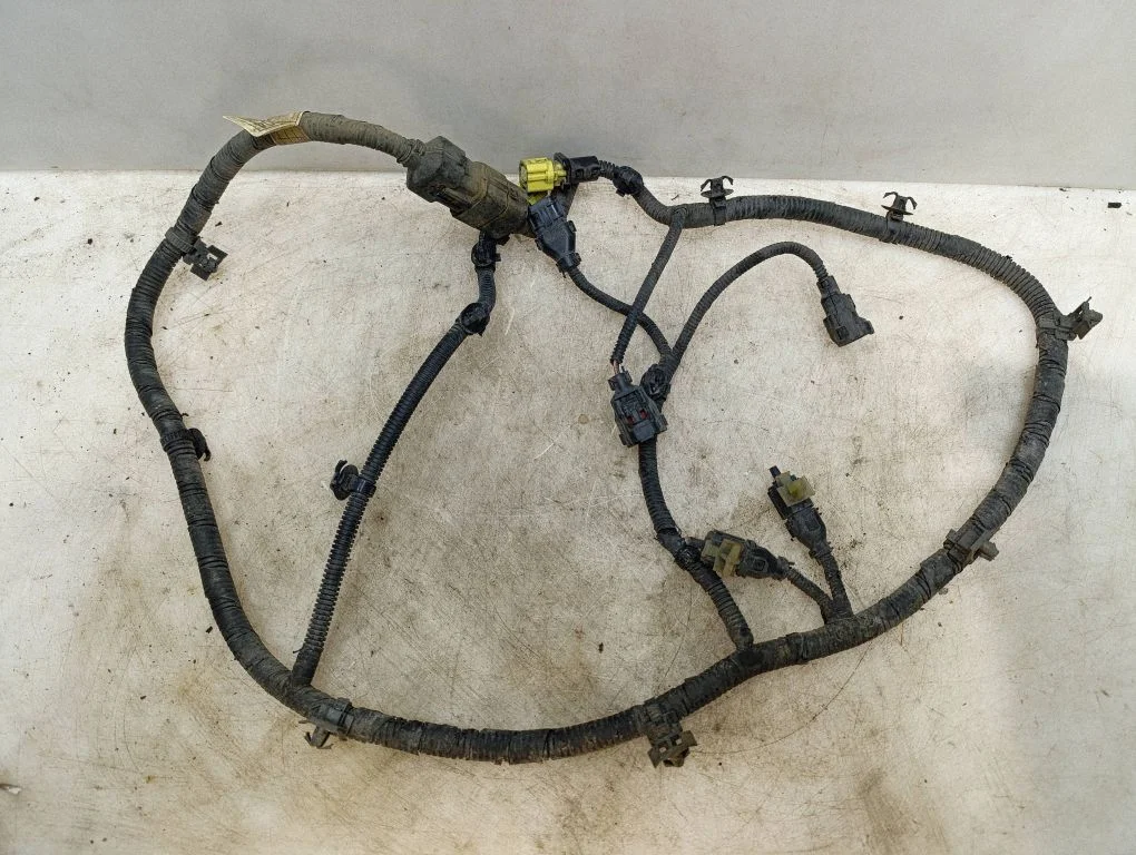 Other wiring loom 918701H041
