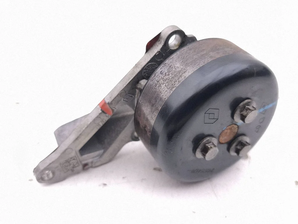 Veepump 210107490R