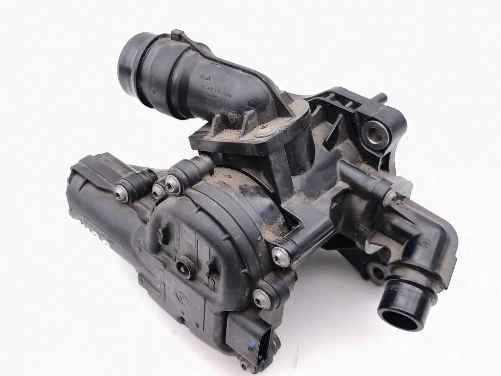 Thermostat/thermostat housing 256002M810