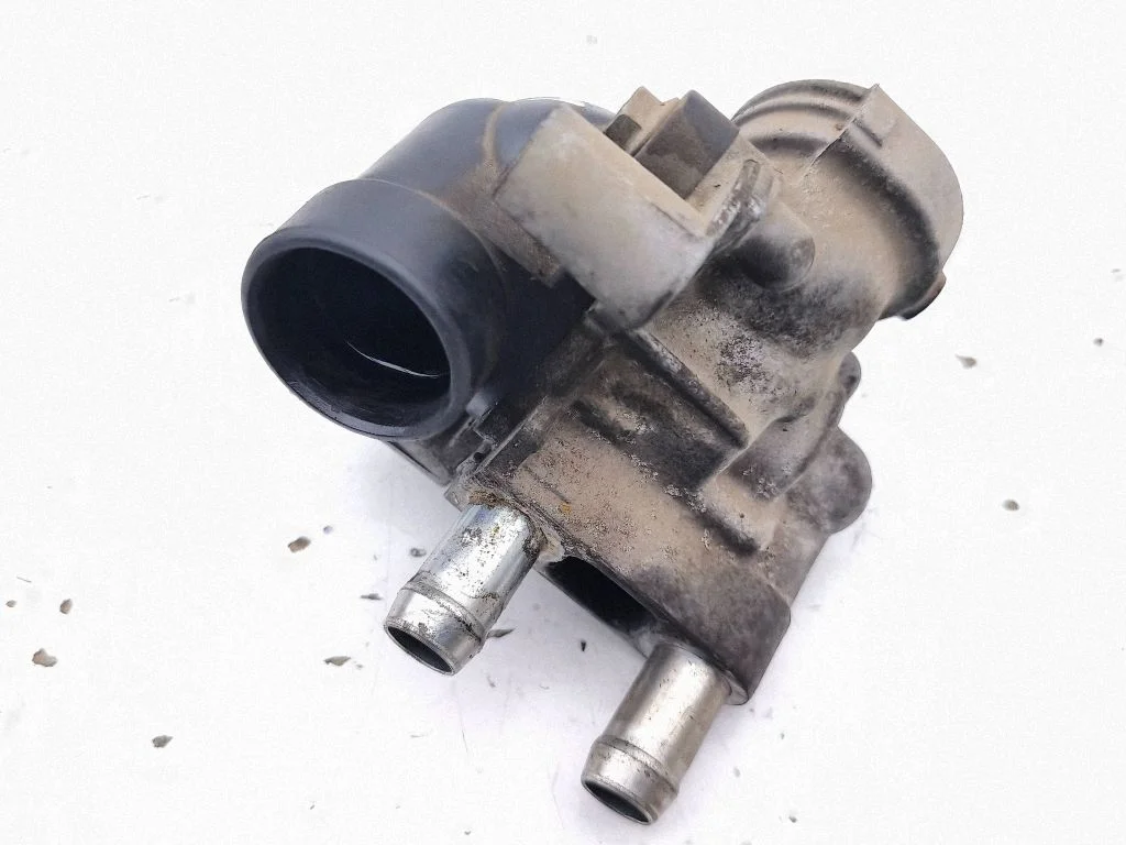 Thermostat/thermostat housing