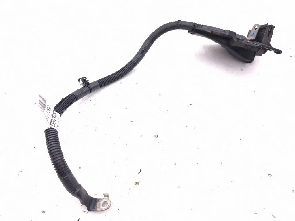 Wires (generator/alternator) 241196UA1A