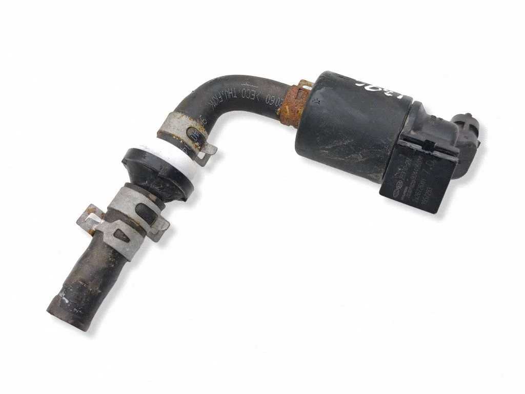 Solenoidklapp 289102M420