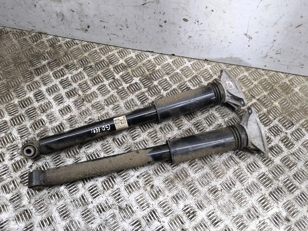 Rear shock absorber/damper 6897399