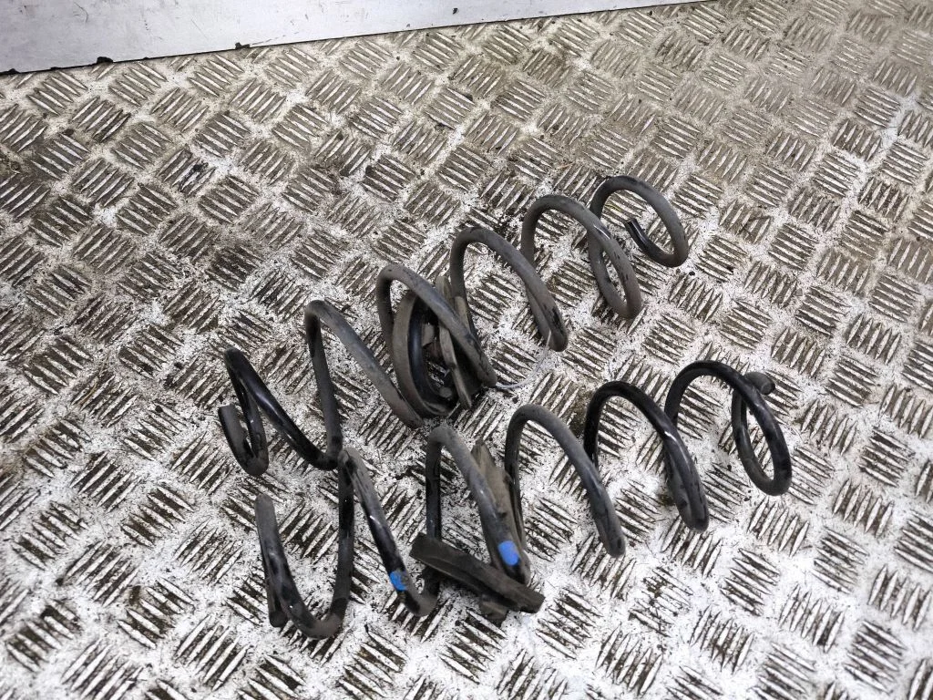 Rear coil spring