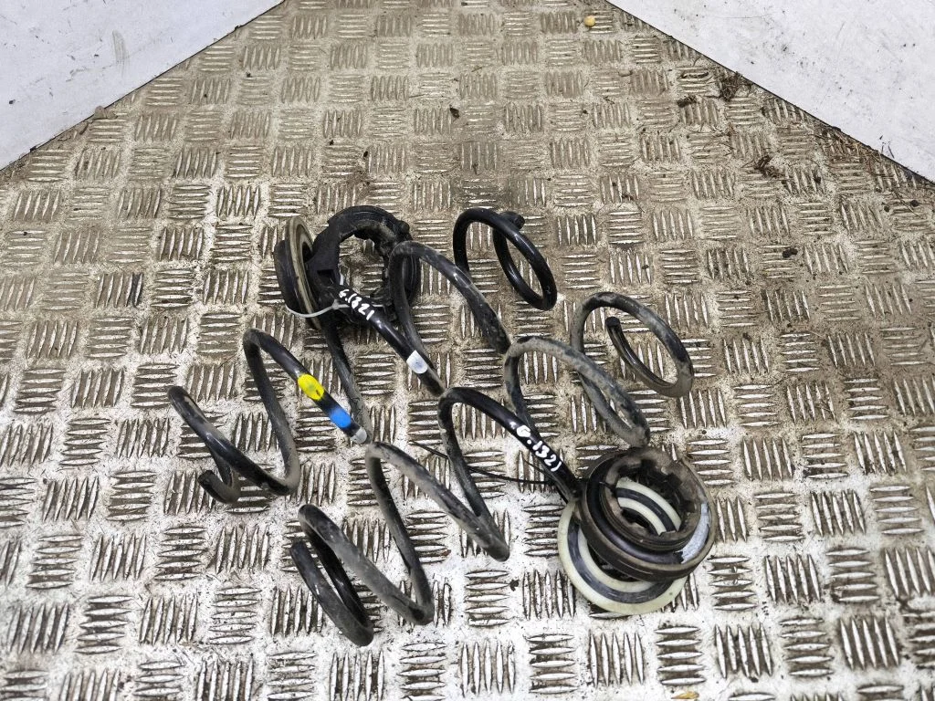 Rear coil spring