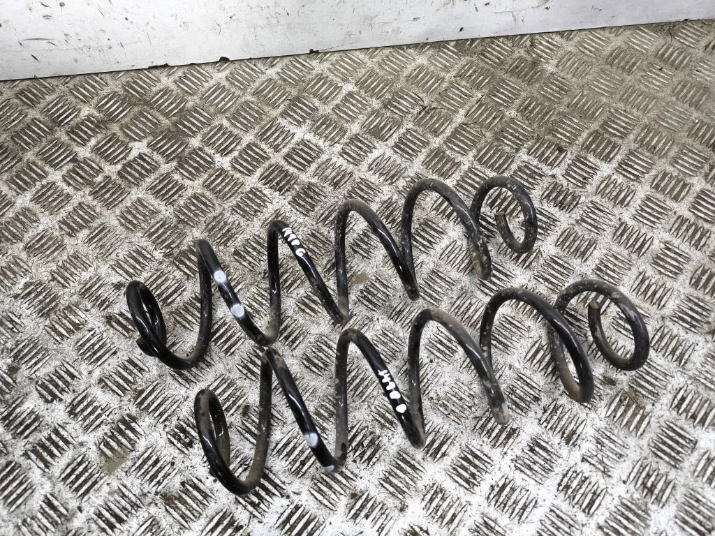 Rear coil spring