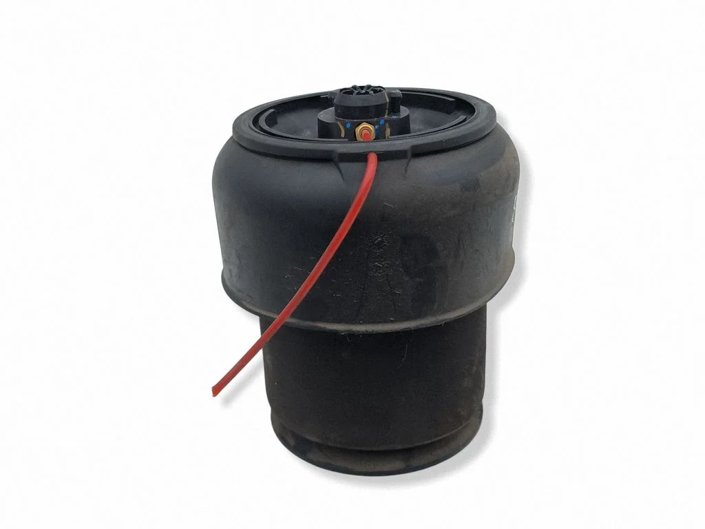 Rear air suspension bag/shock absorber 6795013