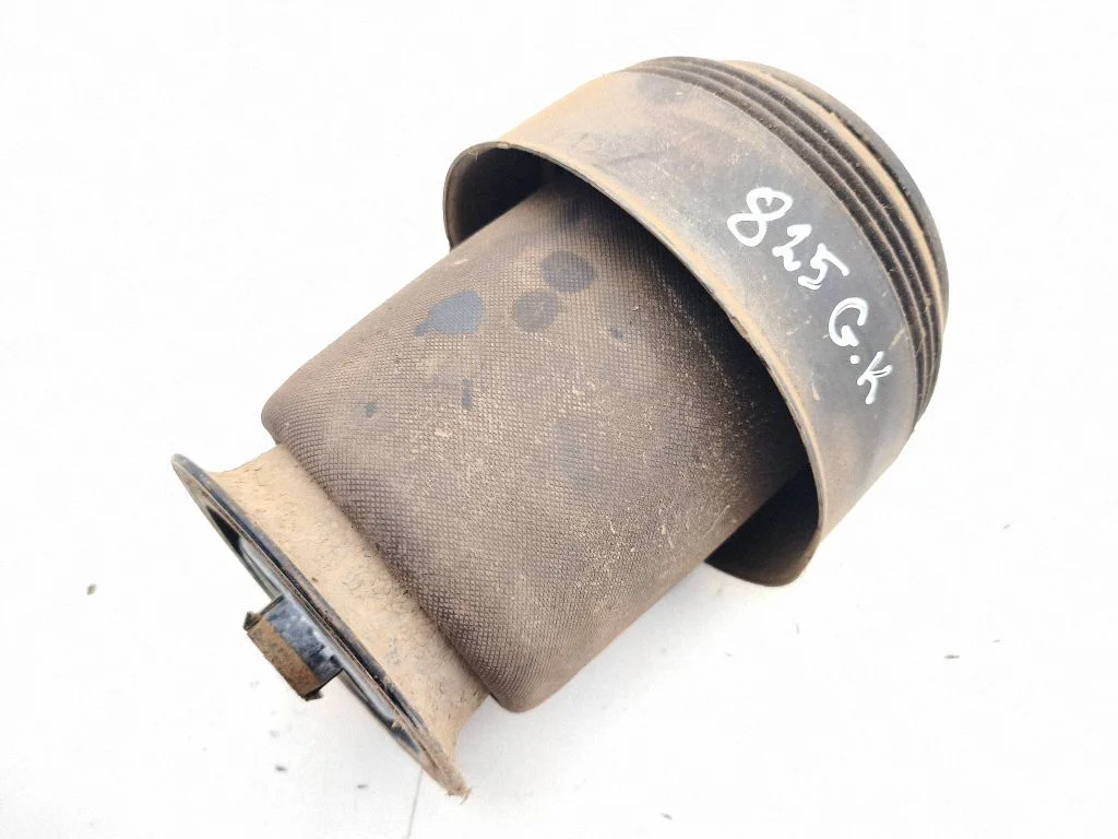 Rear air suspension bag/shock absorber 295139