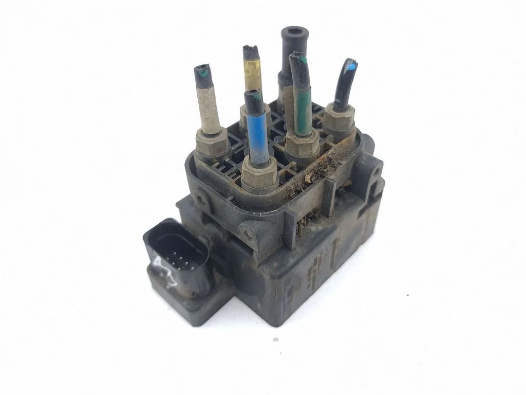 Air suspension control unit module (rear) 1515240027