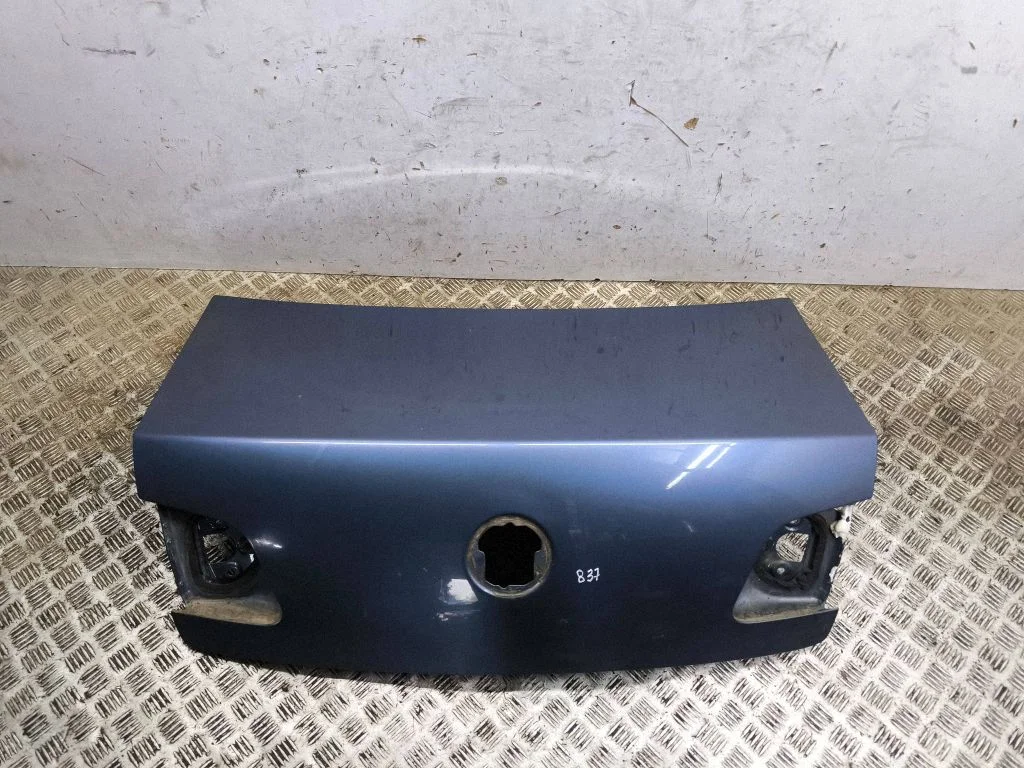 Tailgate/trunk/boot lid