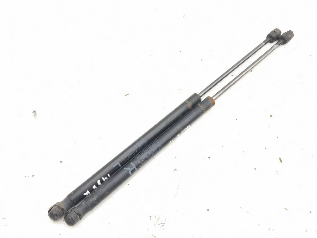 Tailgate/trunk strut/damper 0118980420N