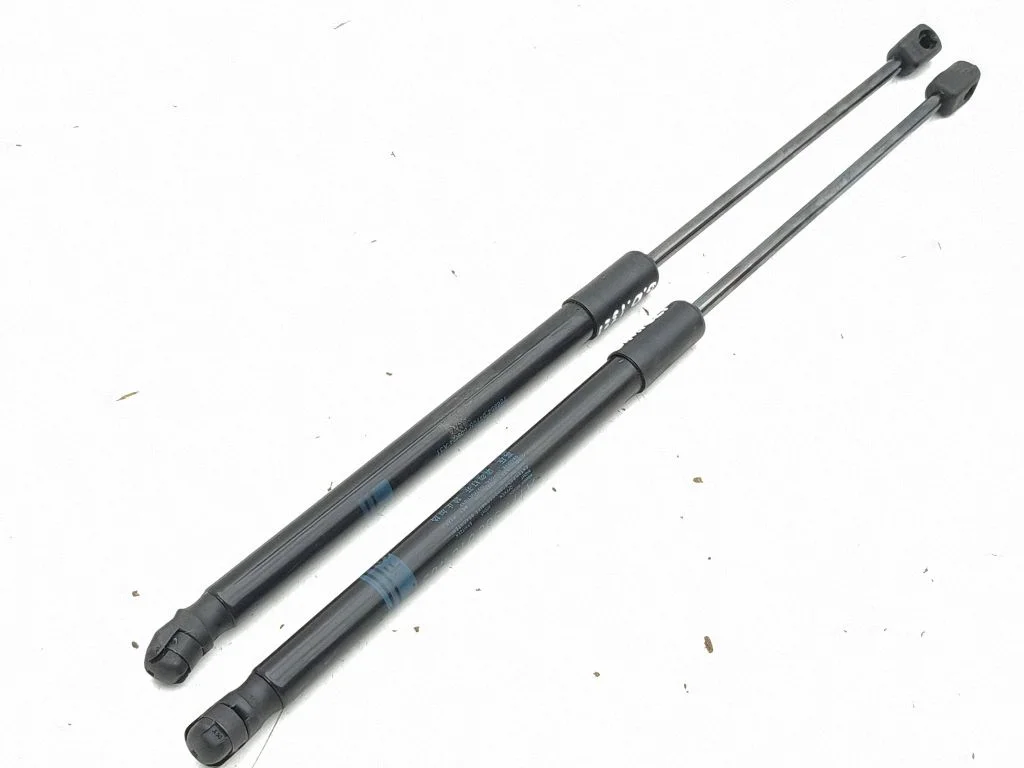 Tailgate/trunk strut/damper 7069940470N