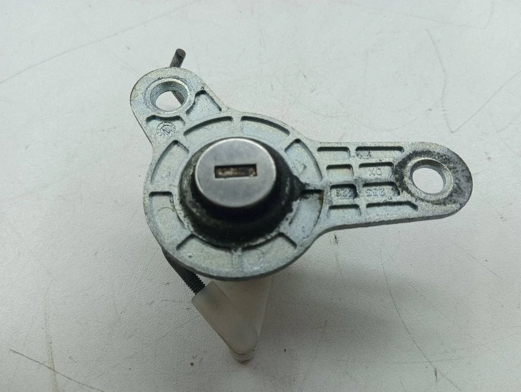 Coupe door lock (next to the handle) 242377