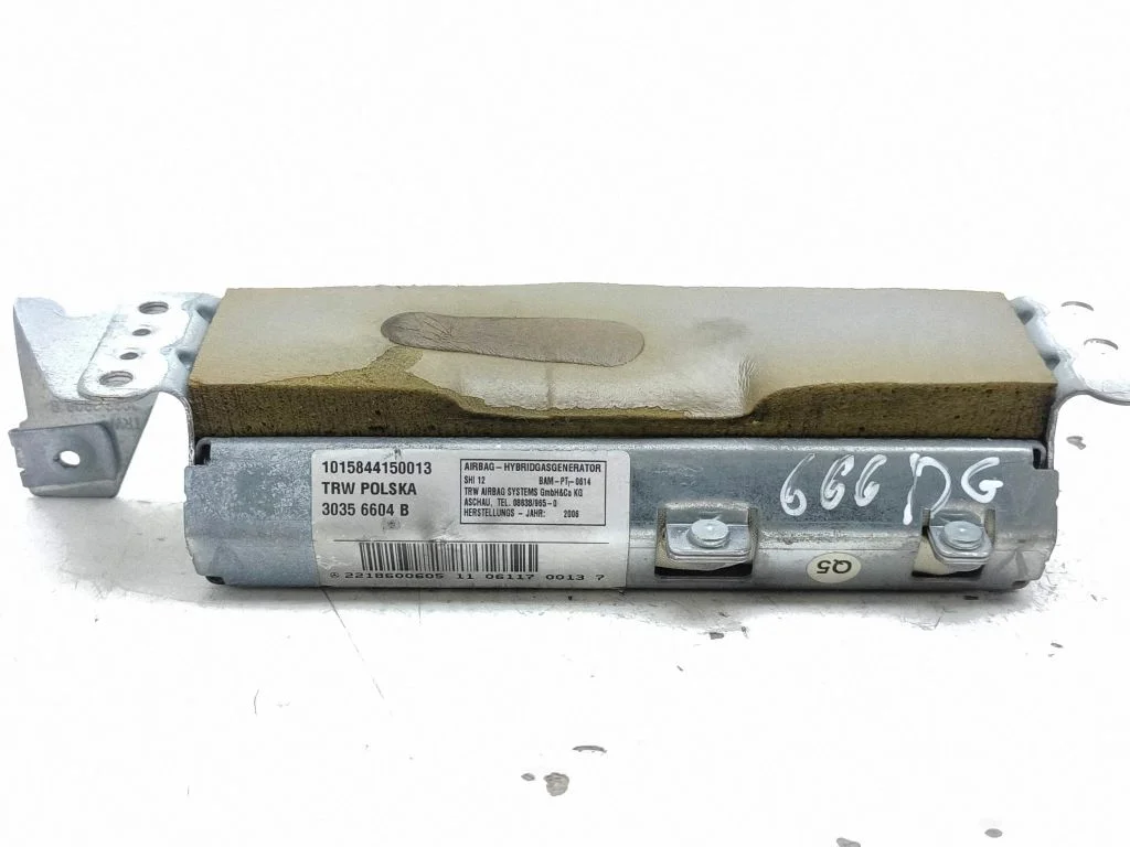 Rear door airbag 2218600605