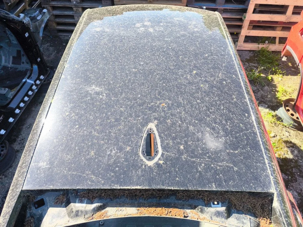 Roof