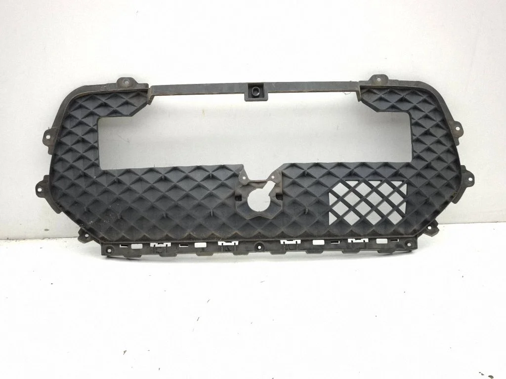 Front grill 9819670477