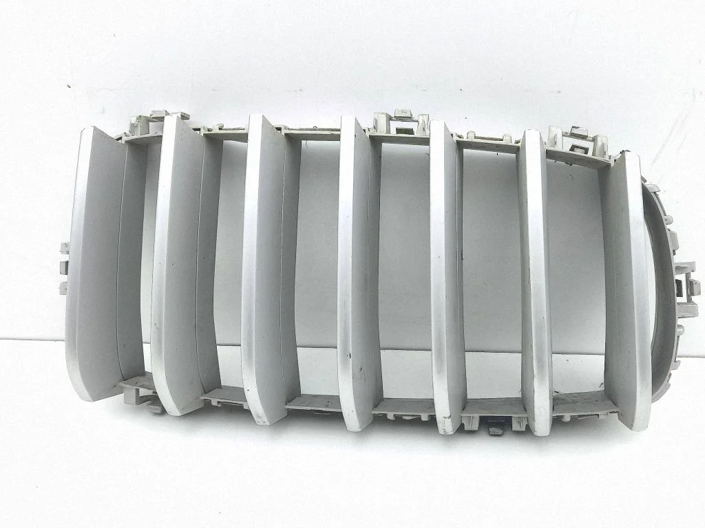 Front grill 7316076