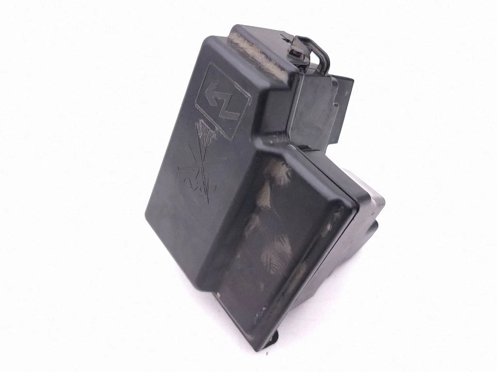 Fuse module 252361535R