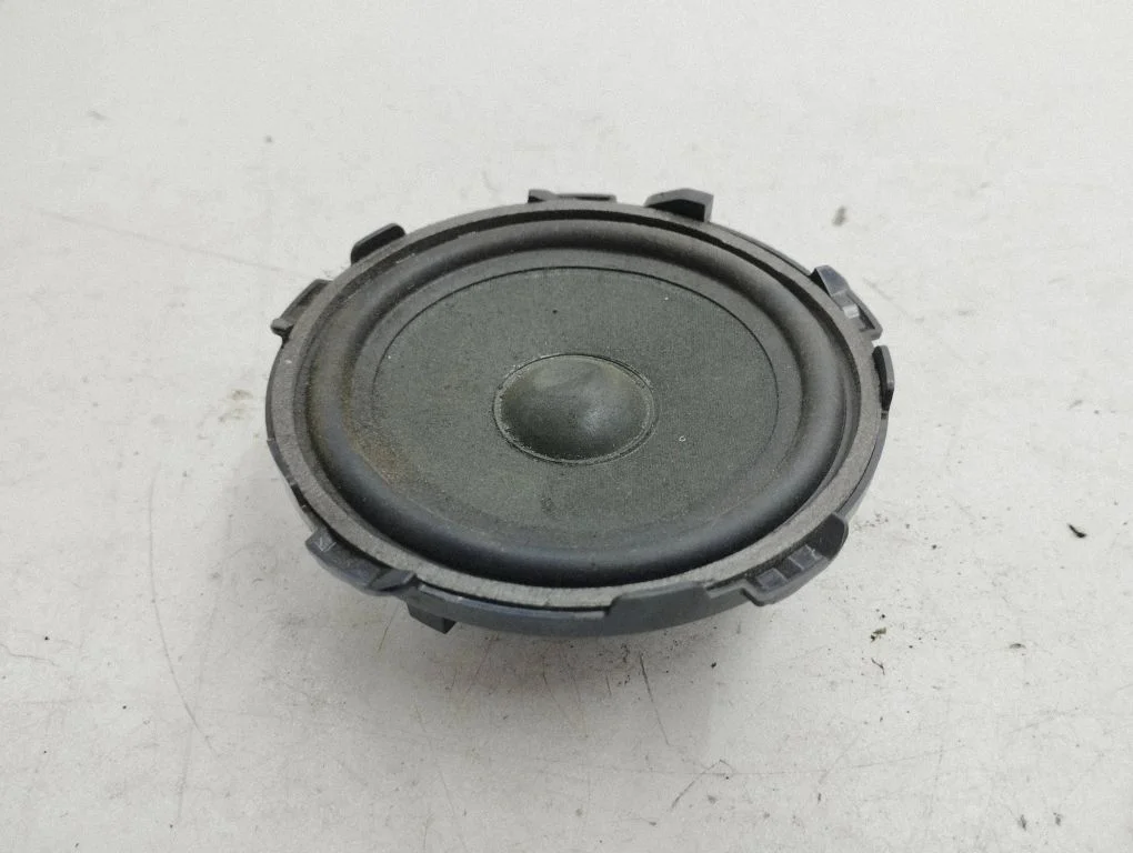 Front door speaker