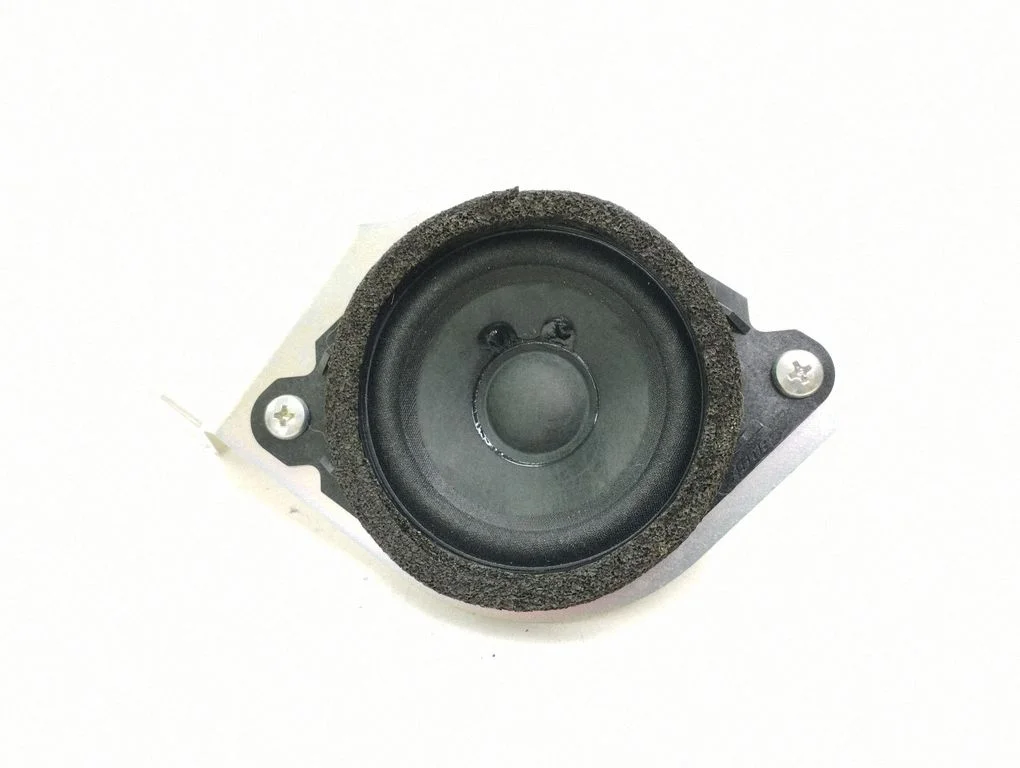 Parcel shelf speaker EG246696X