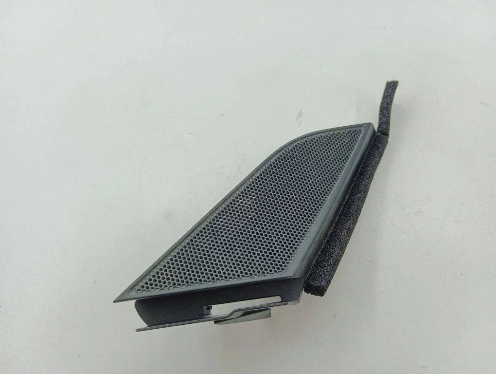 Front door high frequency speaker 463362