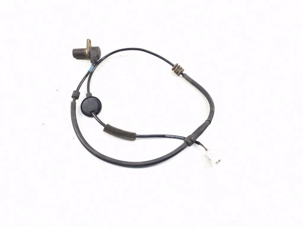 Tagumine piduri ABS-andur – Hyundai Santa Fe (2000-2006)
