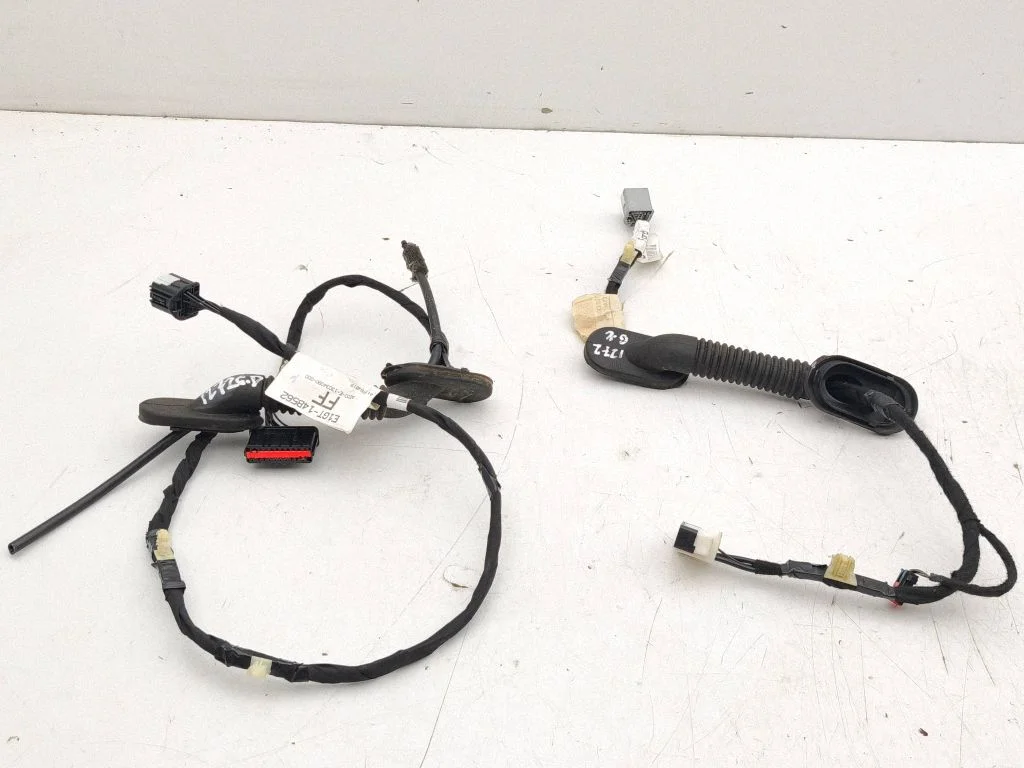 Tailgate/trunk wiring harness E1GT14B562
