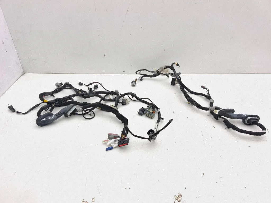 Tailgate/trunk wiring harness PJ8T13A409