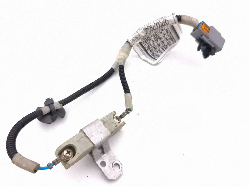 Other wiring loom 06700079240
