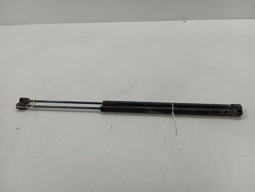 Rear window strut damper 15093449