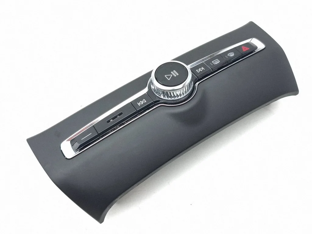Head unit multimedia control P31398846