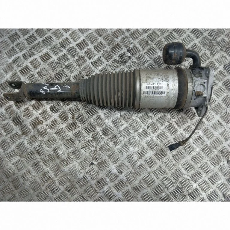 Air suspension rear shock absorber