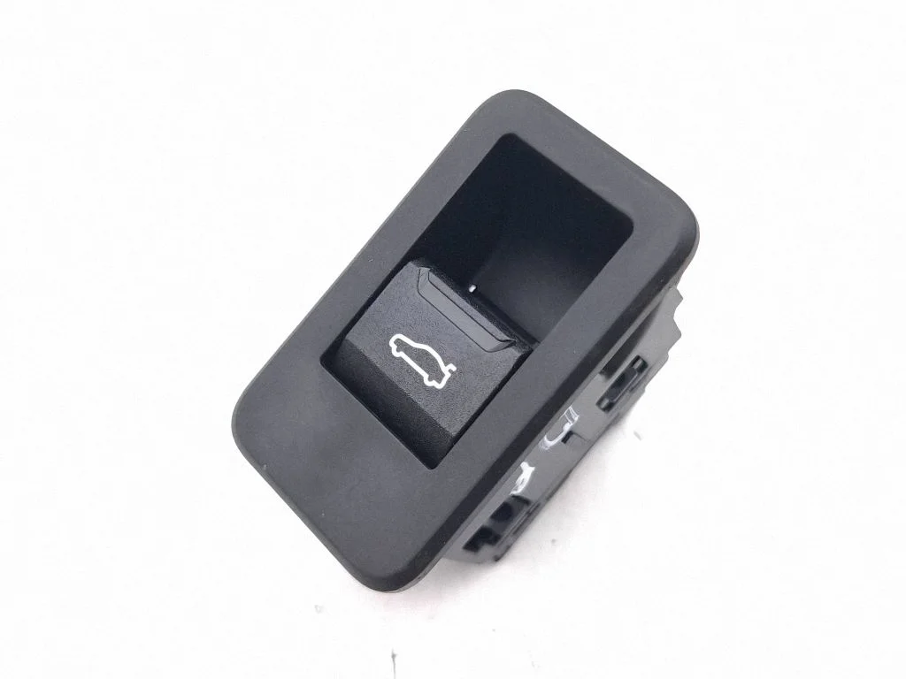 Tailgate opening switch 9108869