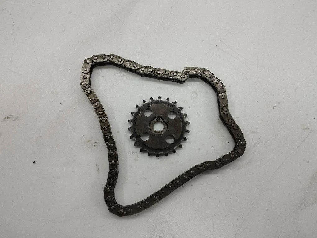 Timing chain sprocket